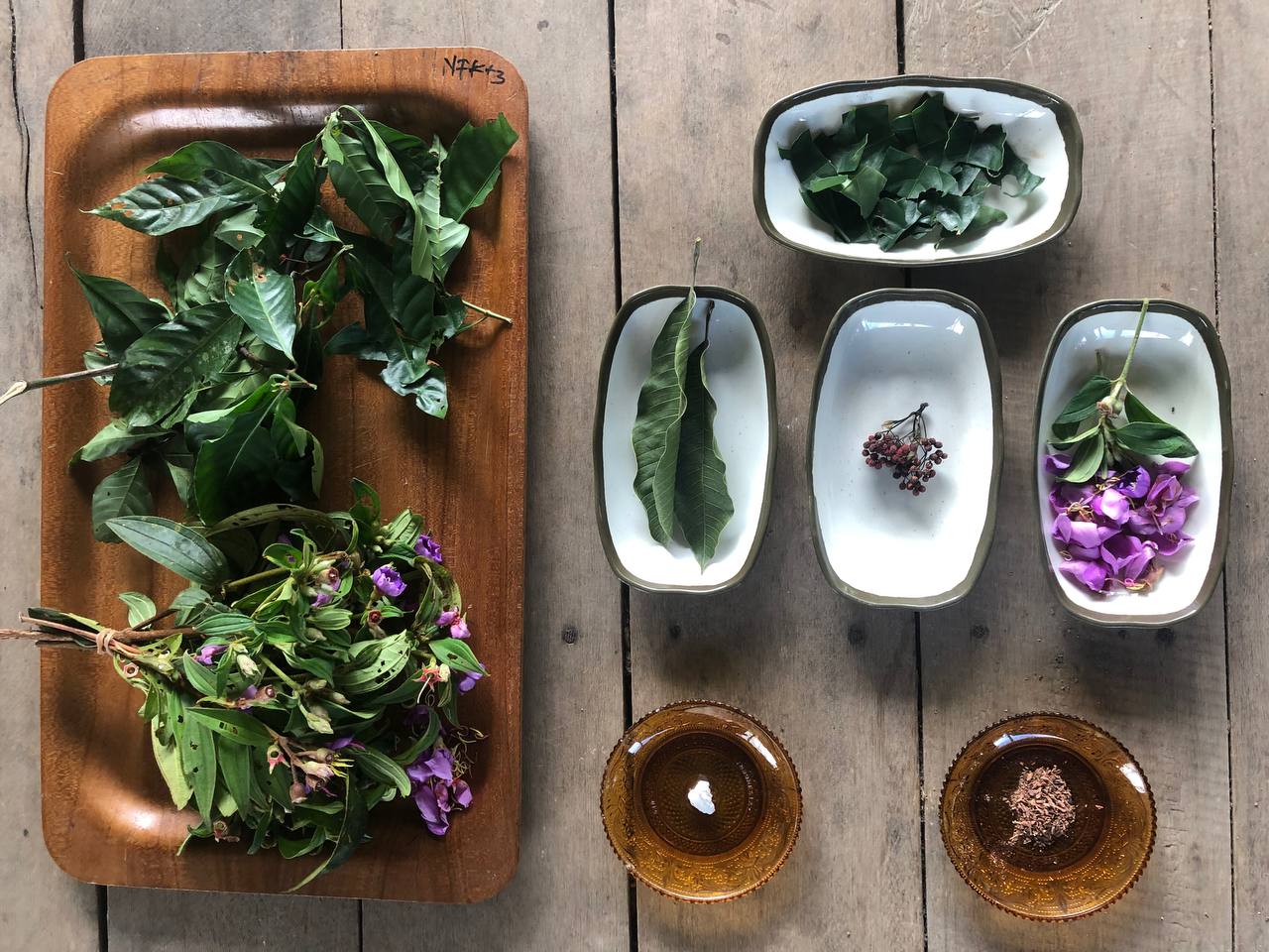 Bahan pewarnaan alami dari alam Kalimantan